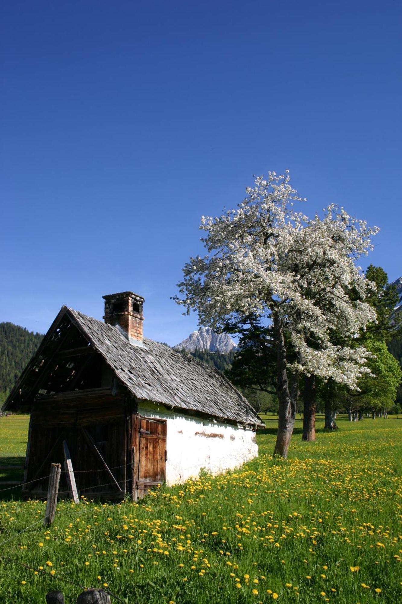 Sonnhof Hotell Ramsau am Dachstein Exteriör bild